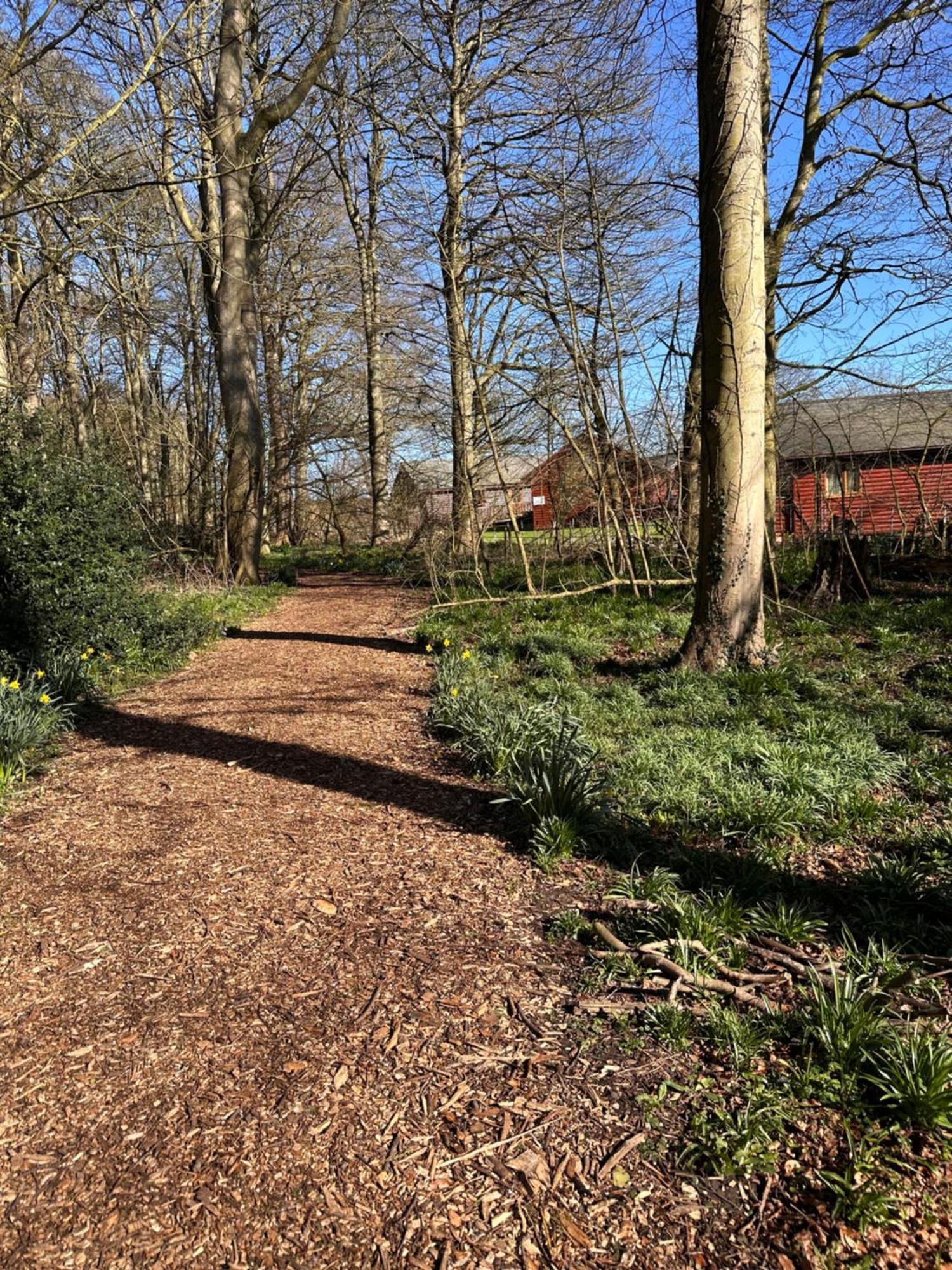Max'S Woodland Lodge Bridlington Exterior photo